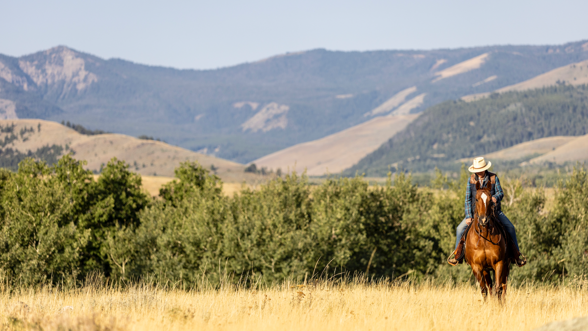 Discovering Yellowstone National Park