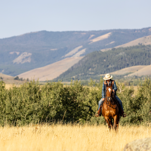 Yellowstone Bourbon
