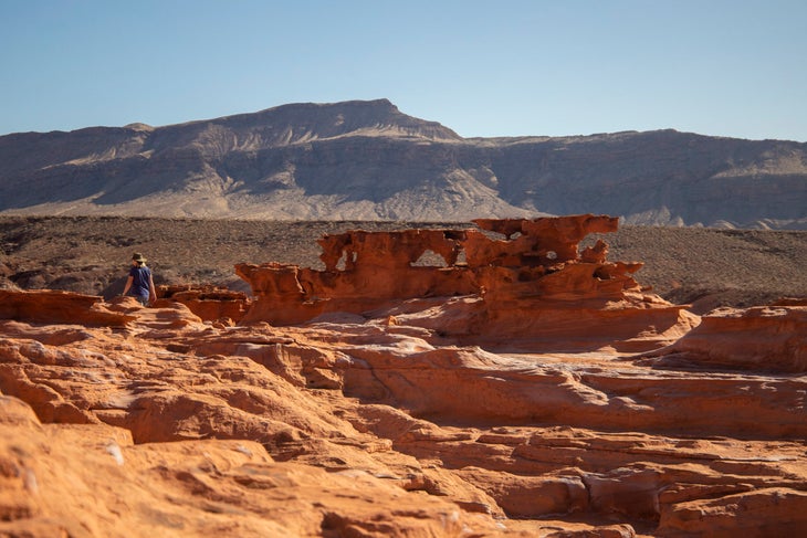 Gold Butte National Monument