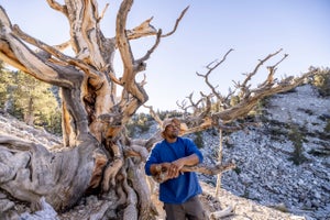 Great Basin National Park