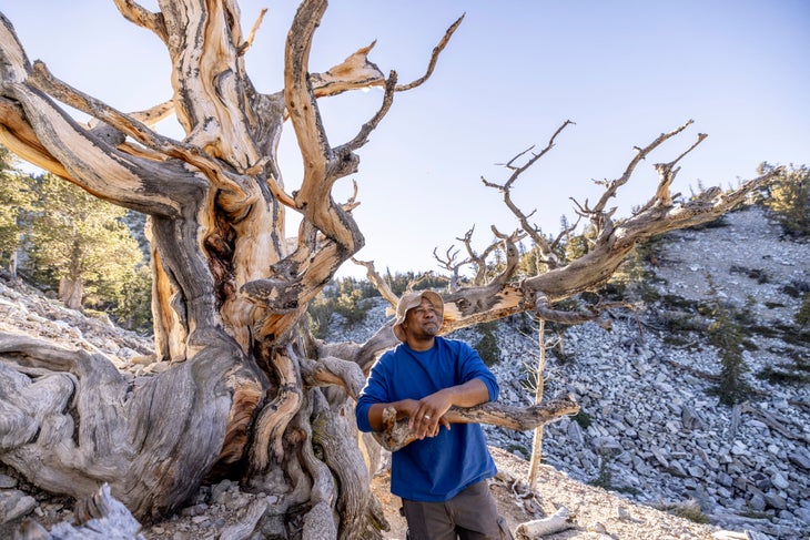 Great Basin National Park 