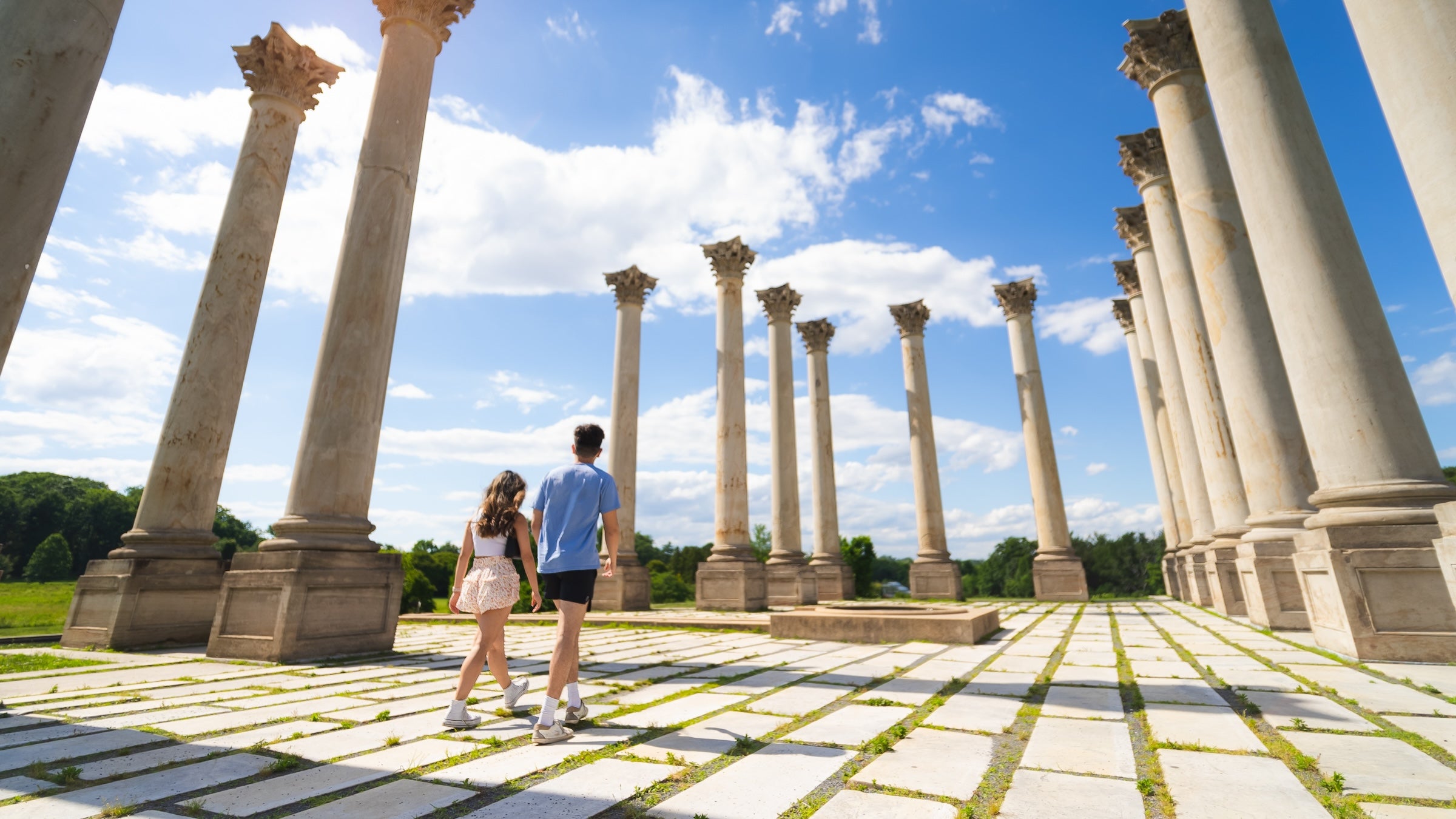 Explore the 22 Corinthian columns transplanted from the Capitol to the U.S. National Arboretum's Ellipse Meadow.