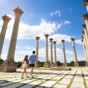US National Arboretum, DC