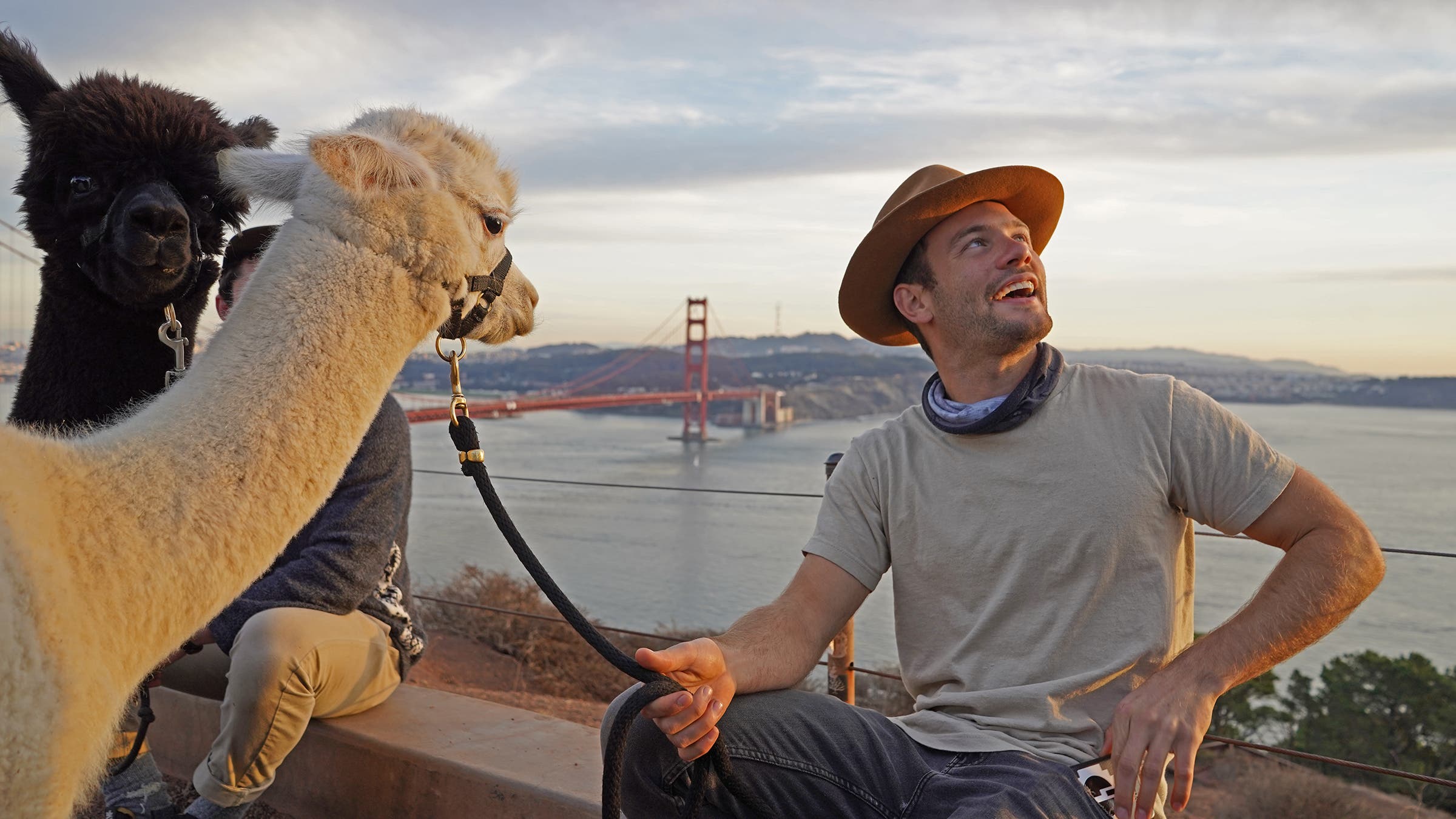 two alpacas and Paka founder Kris Cody