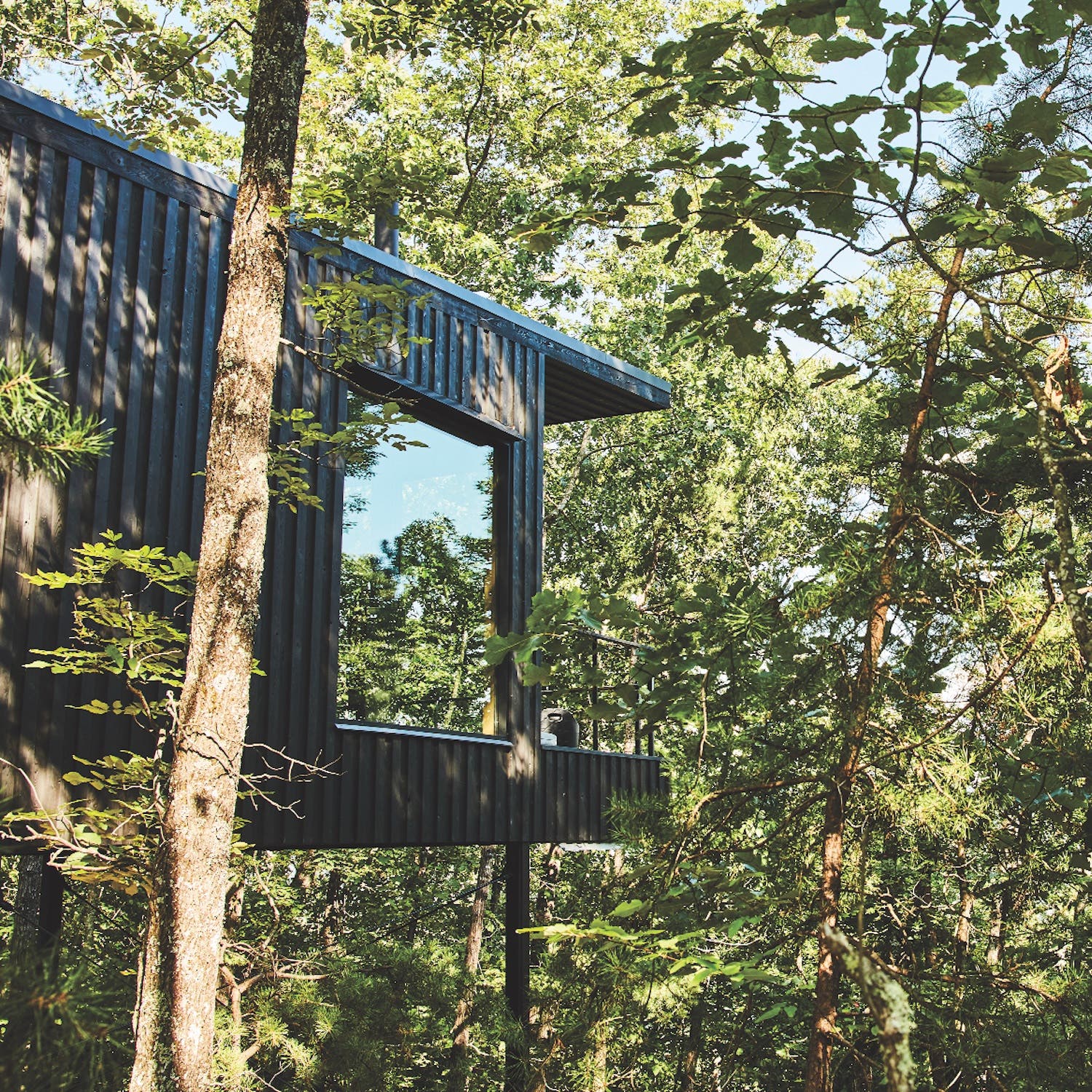 black house in trees