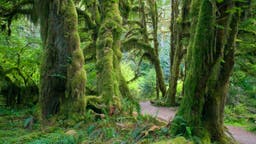 9 Quiet Destinations That Cut Out All the Noise