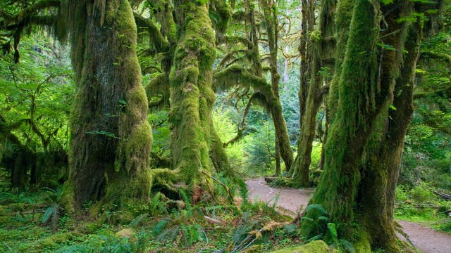No More Push Notifications: These 9 Quiet Destinations Cut Out the Noise