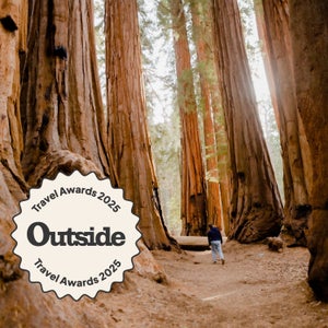 man walking through massive Sequoias
