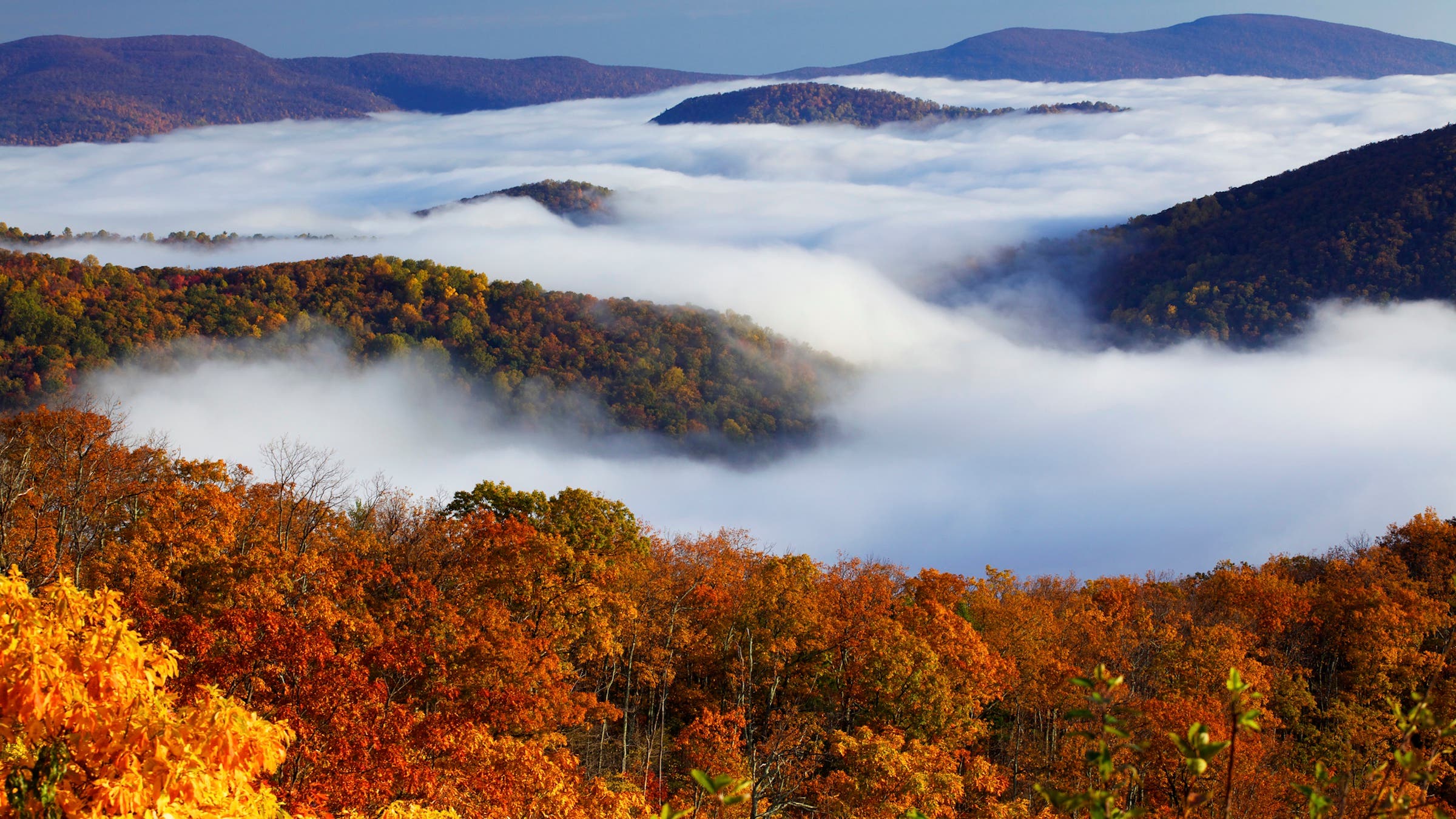 fall colors in mountains above clouds