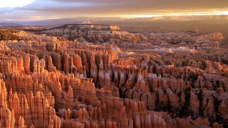 hoodoos in Bryce Canyon National Park, a stop on one of the best road trips in the southwest