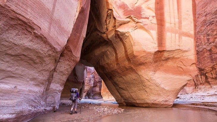 river canyon at Vermilion Cliffs National Monument, worth a stop along one of the best road trips in the southwest