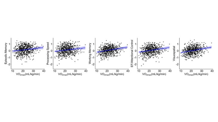 five graphs showing VO2 max and memory