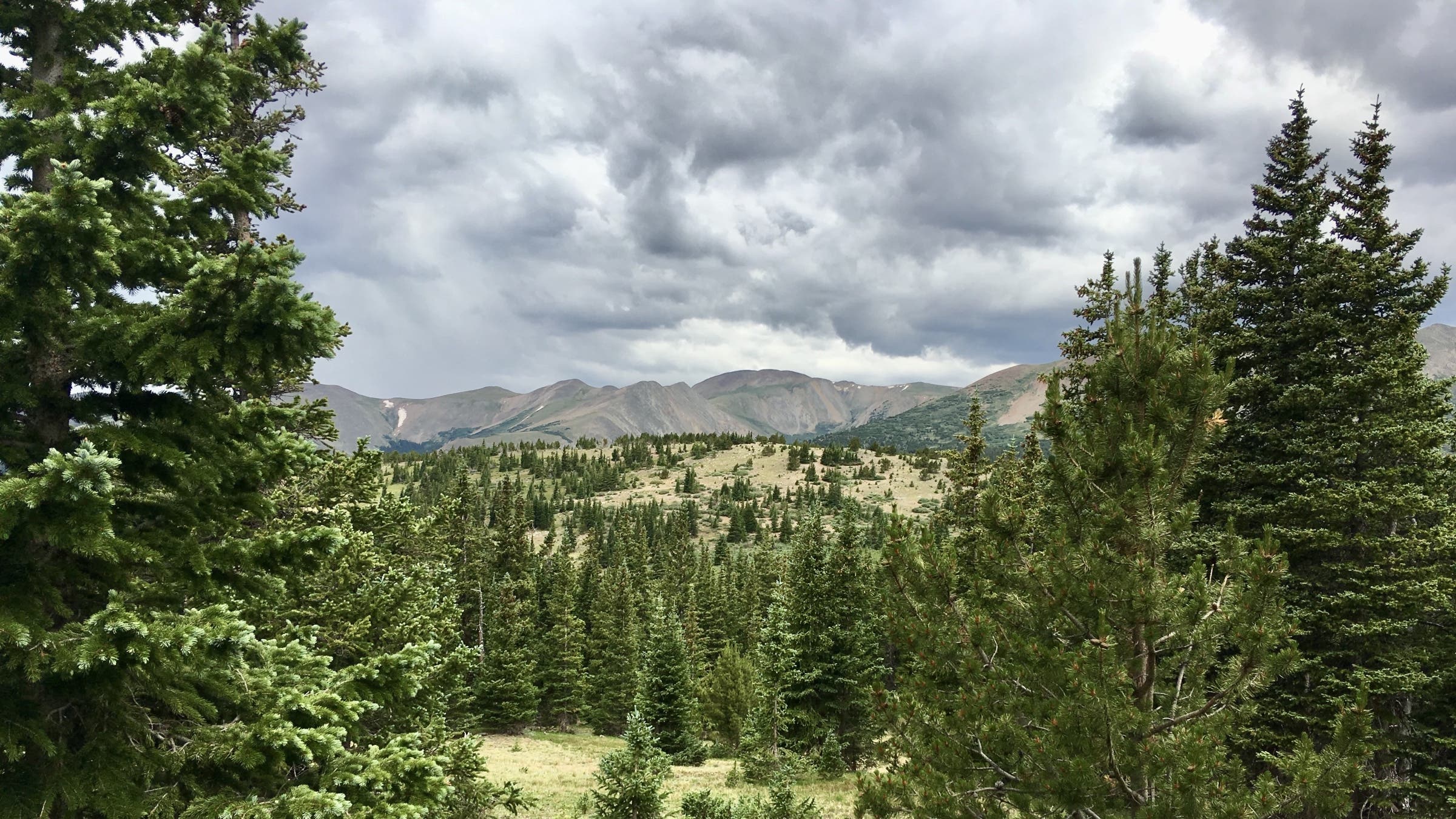 View of forests and mountains