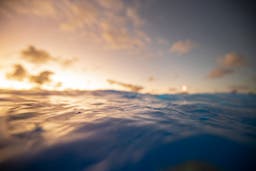 The Surprising Cause of Hawaii's Snorkeling Deaths