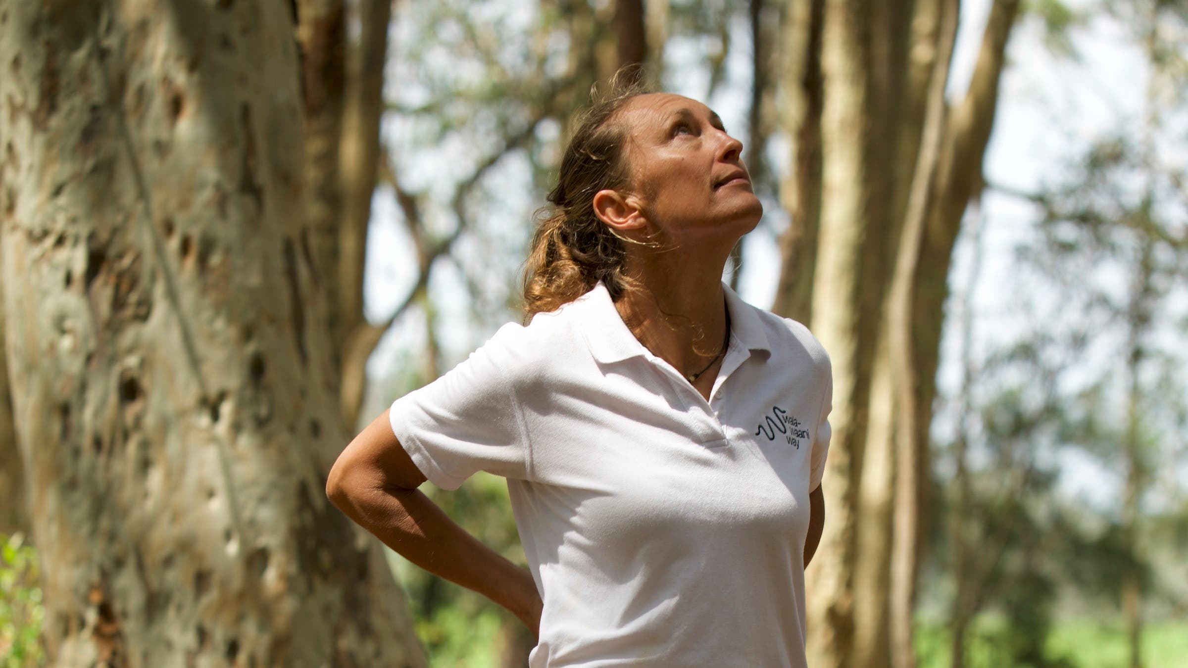 woman in white shirt staring up at trees