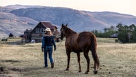 Woman with horse