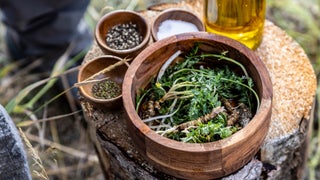 Rustic plate with foraged foods