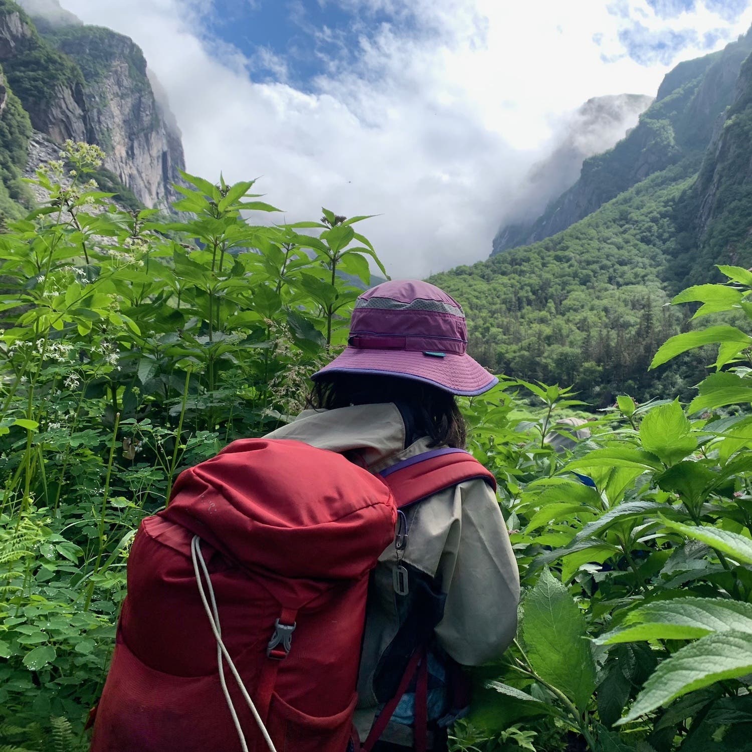 hiker with backpack looking into green valley