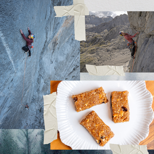 sasha digiulian protein bar recipe