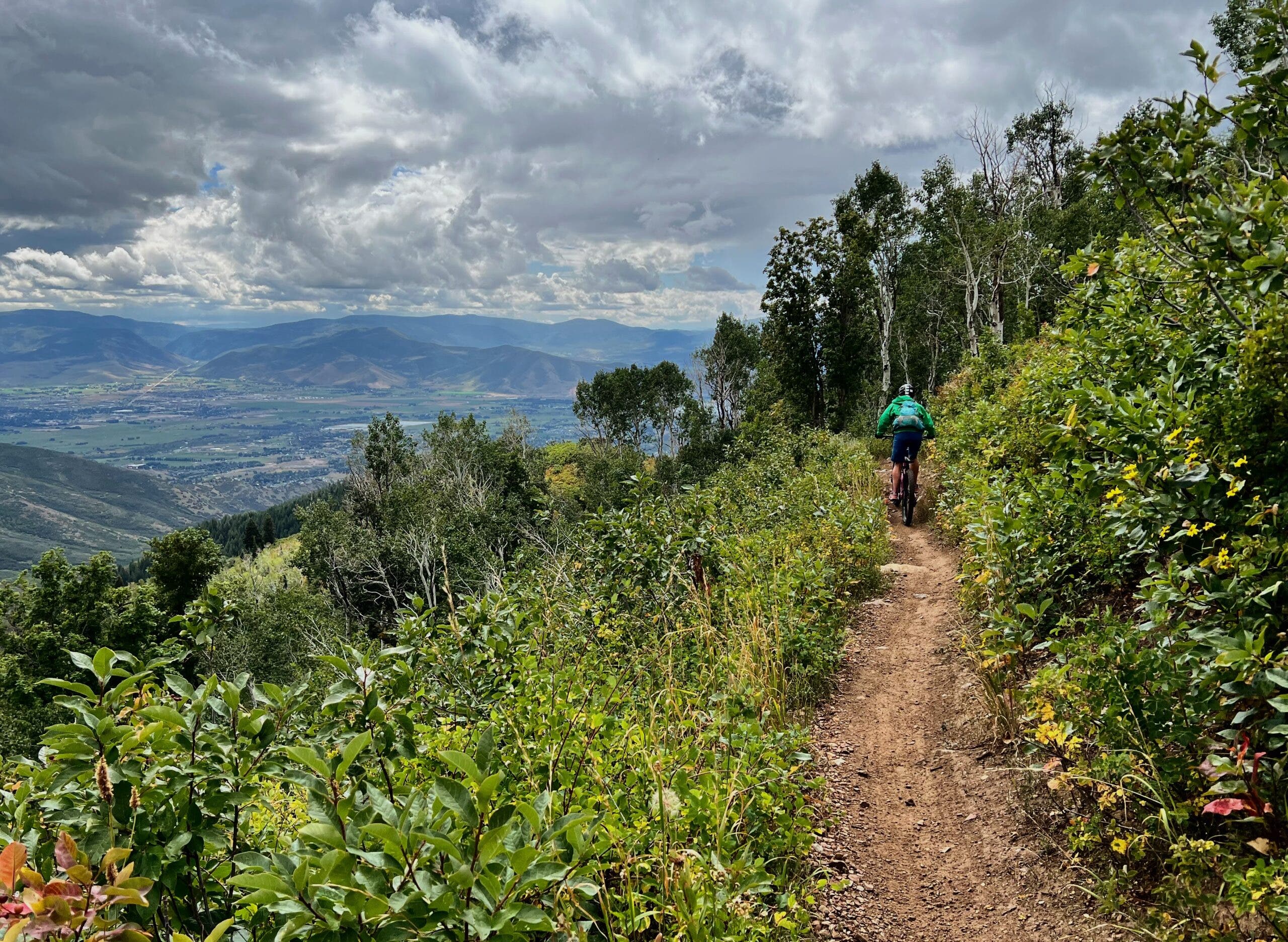 a mountain biker on a trail with grass and trees