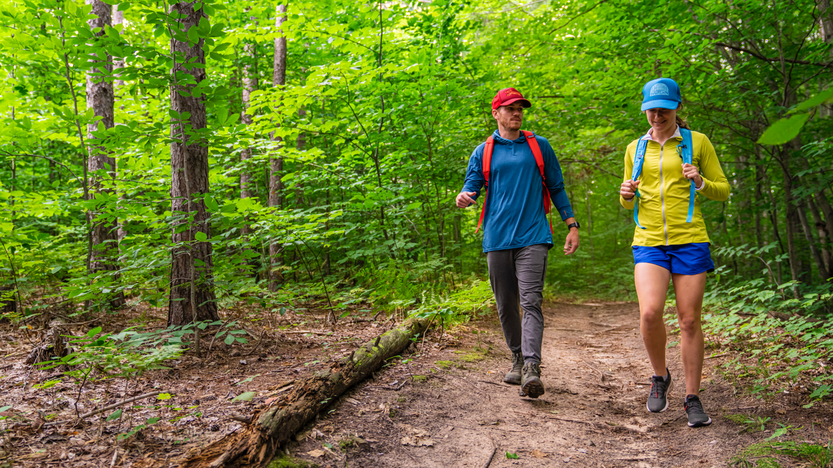 Start Exploring Lower Michigan’s Vibrant Corner