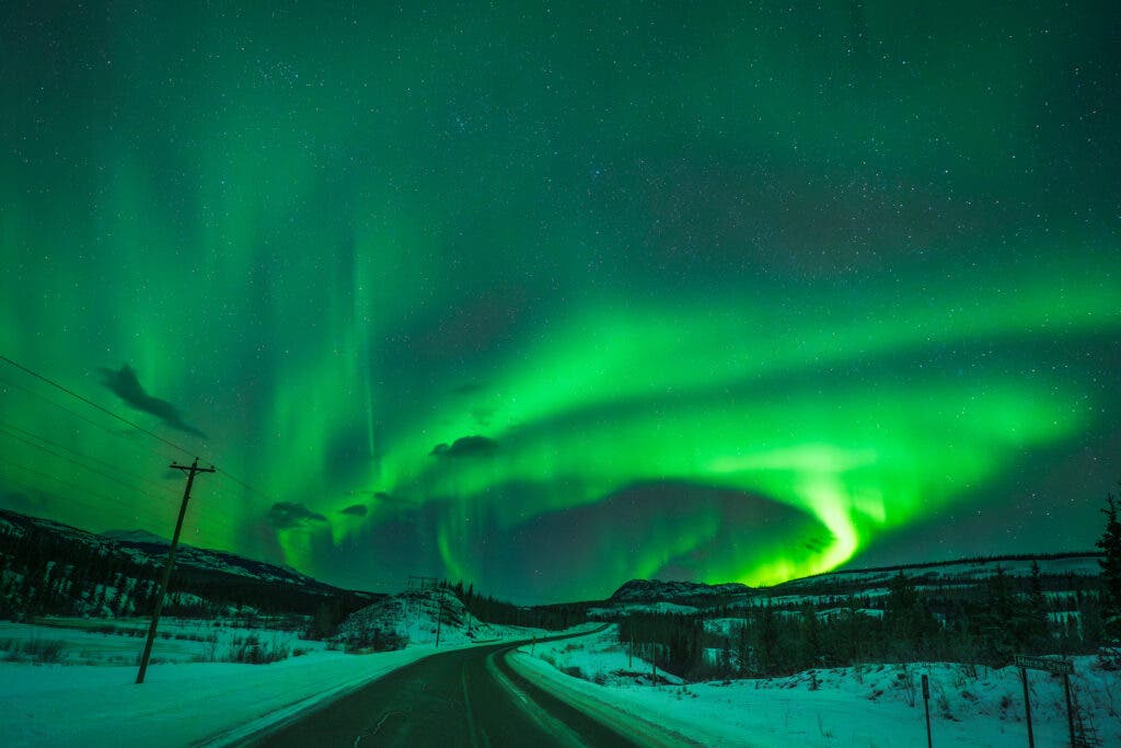 Auroras on the road outside Whitehorse