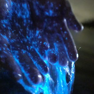 Bioluminescence