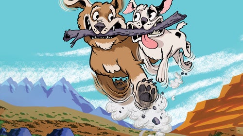 dogs running with a stick as adventure buddies