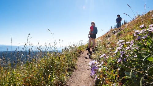 hiking through wildflower meadow.