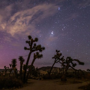 new rules for visiting national parks