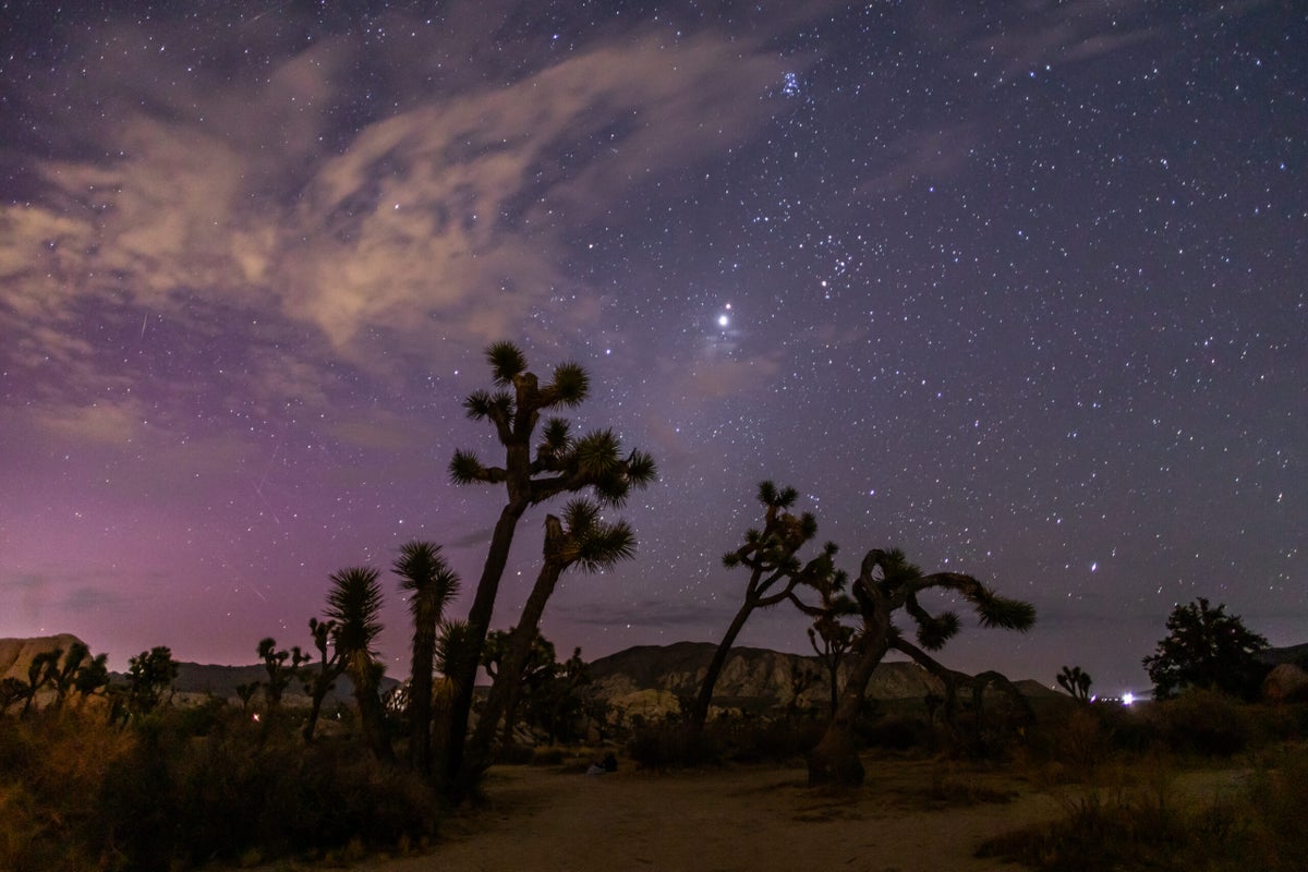 The New Rules of Visiting National Parks