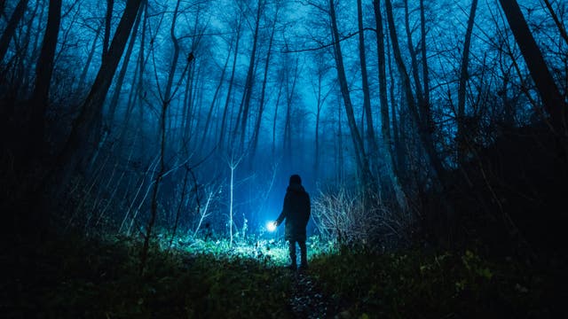 This is Why You're Afraid of the Dark