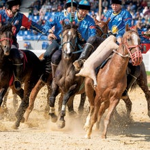 US Kok Boru team