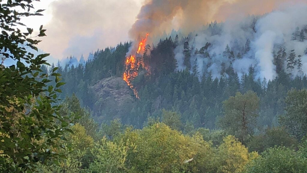 Maple Fire