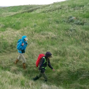 Hikers walk through prairie grass