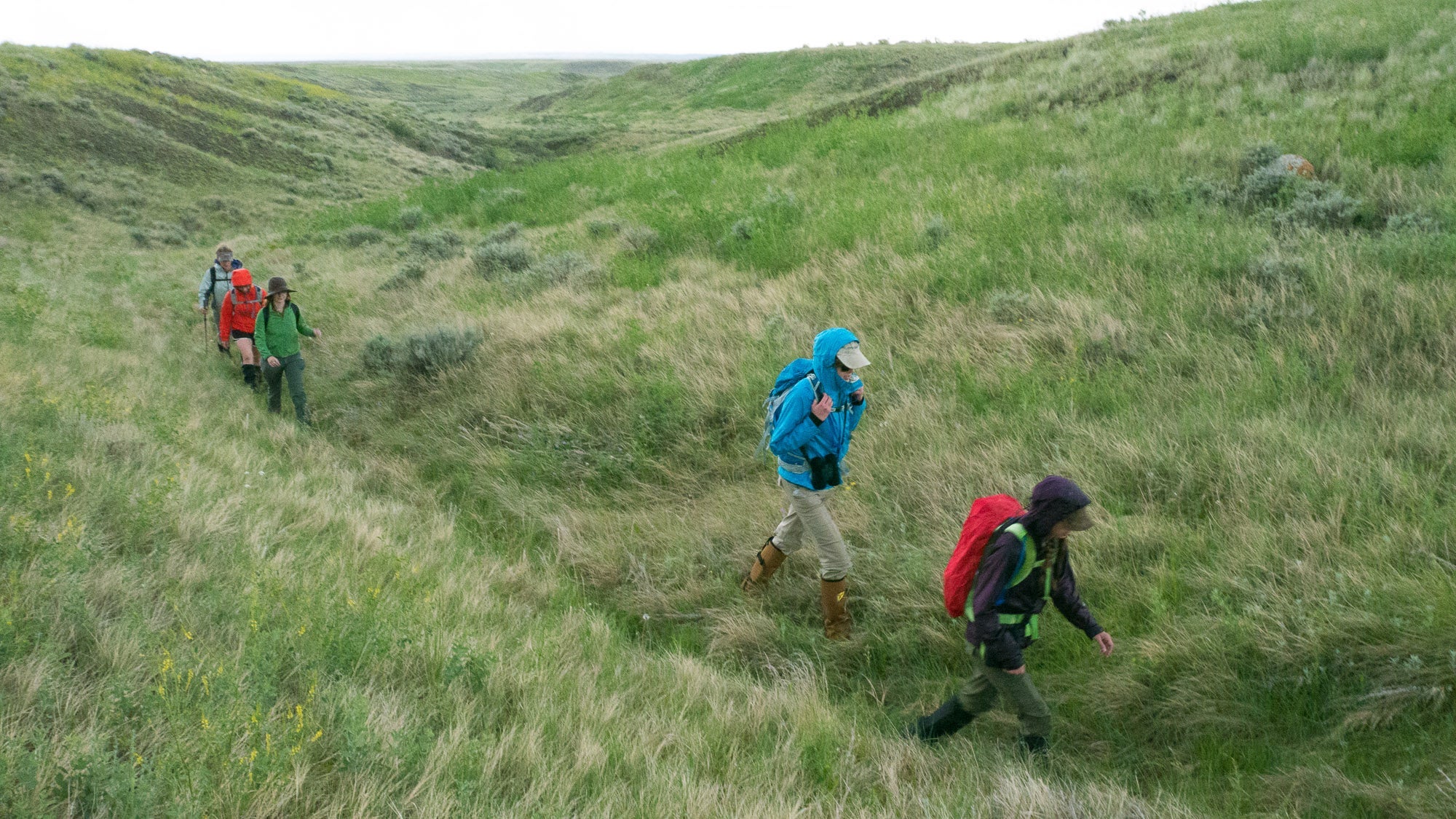 Hikers in grassland
