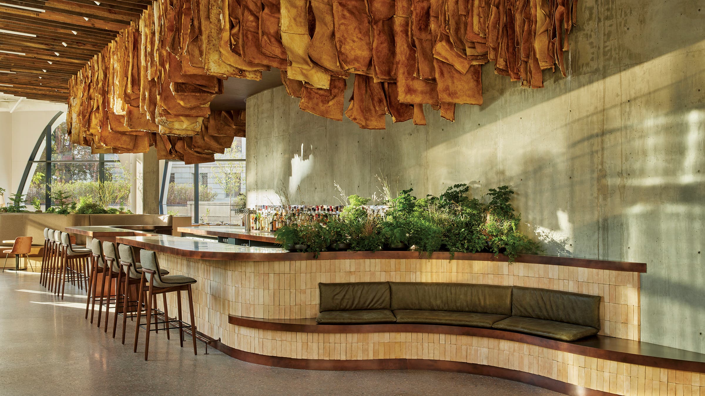 Reishi Tapestry at Pasque Bar