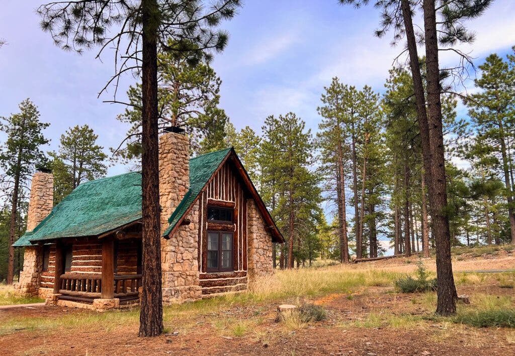 a log cabin with a green roof amid trees