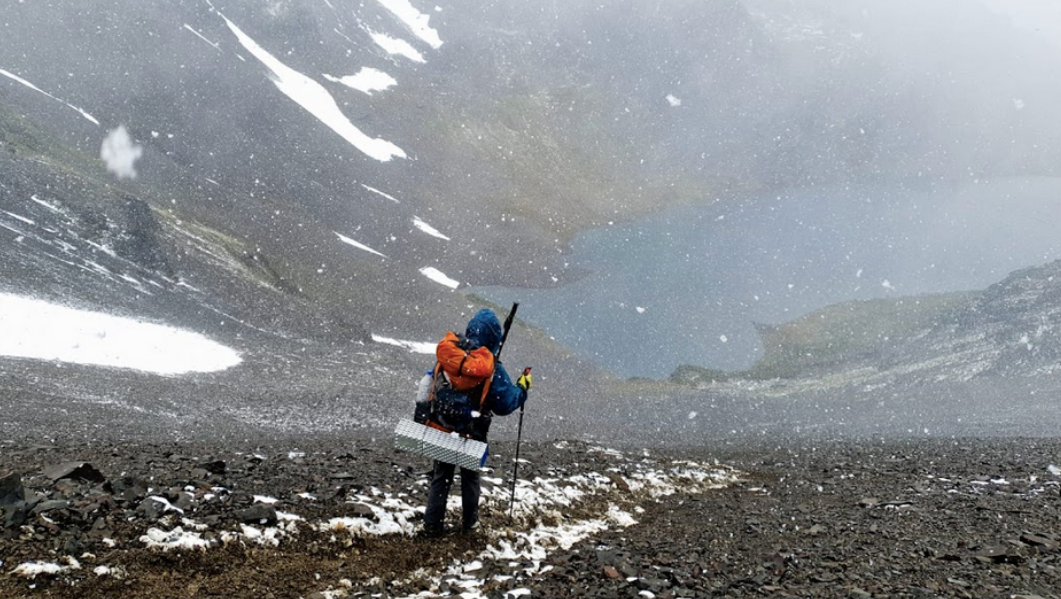 Walking down screen field