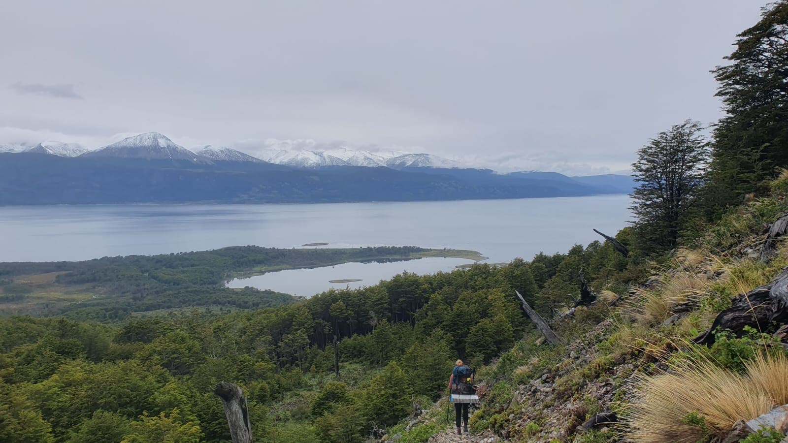 Beagle Channel hiking
