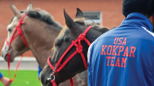 horses with a man in a jacket USA Kokpar Team