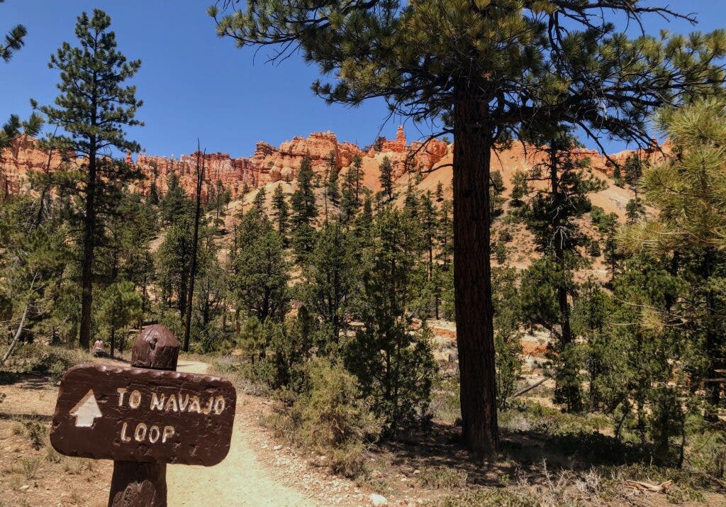 a Navajo Loop trail sign and a trail
