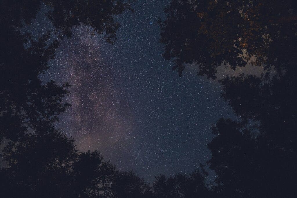 A view of the stars from Pisgah National Forest in the Southern Appalachians