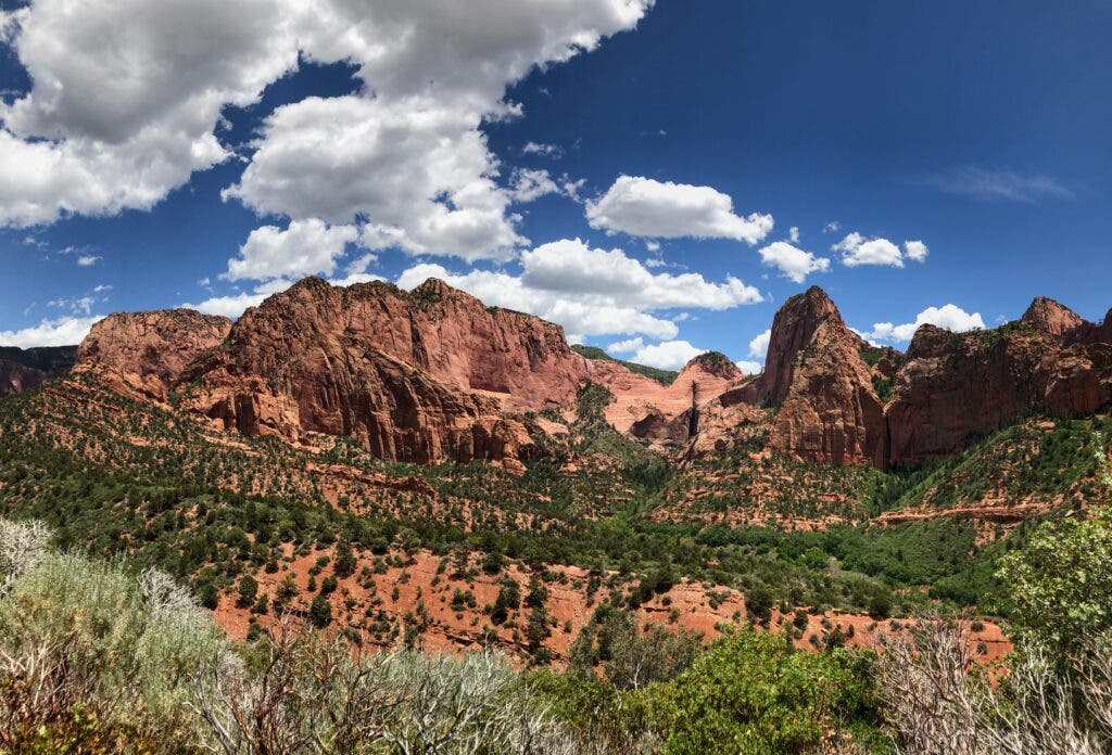 red rock canyons and brush