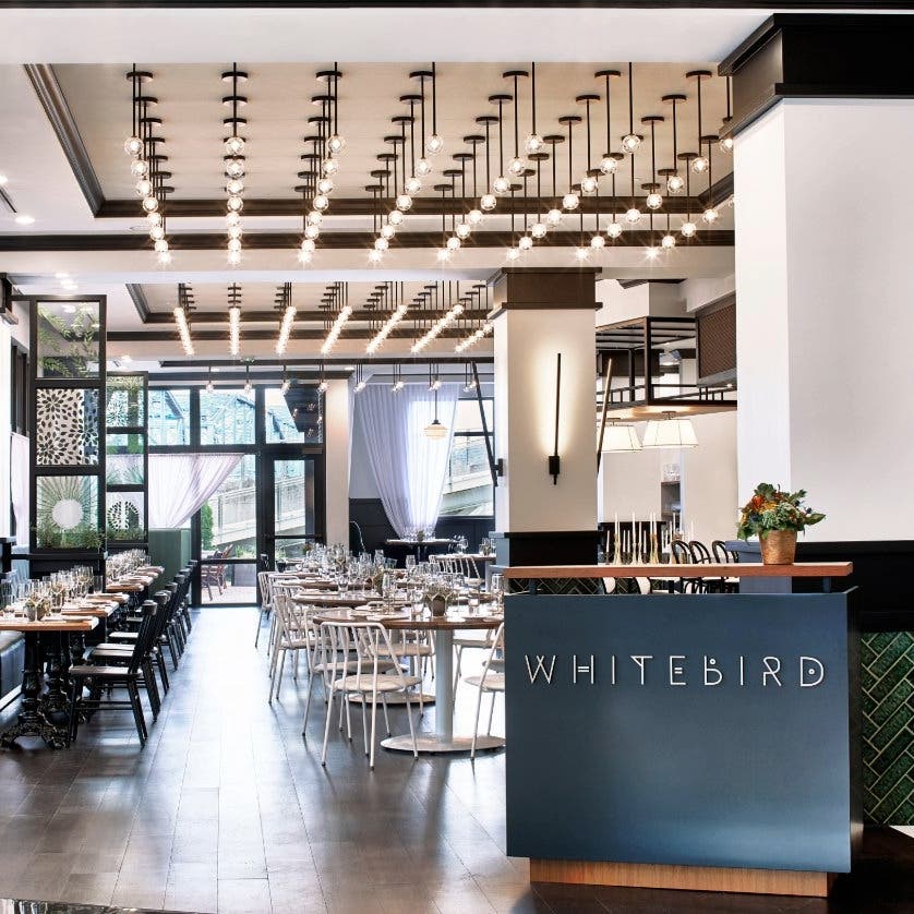 Whitebird Chattanooga restaurant 