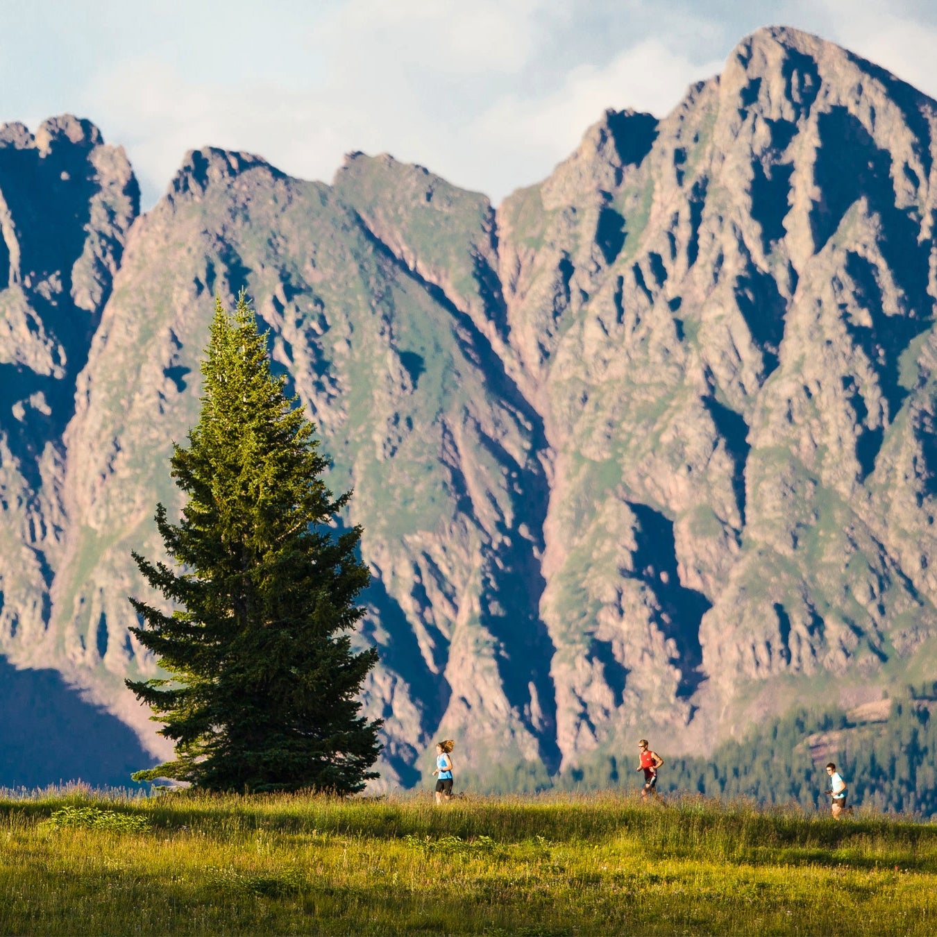 Discover Vail
