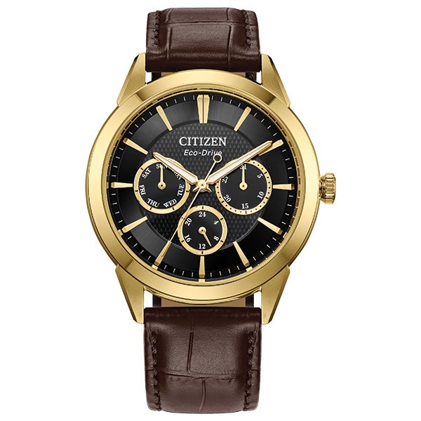 Citizen Rolan