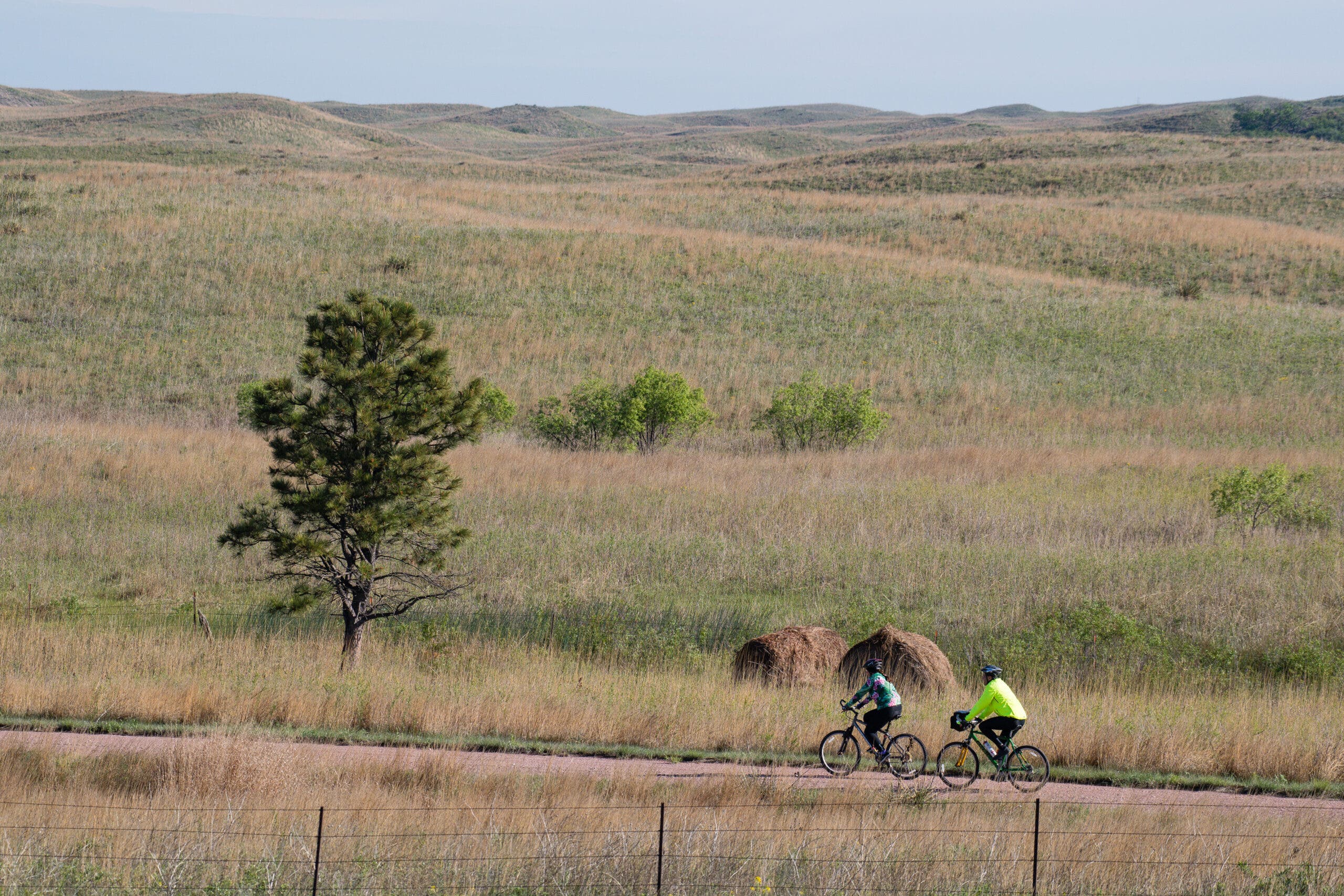 Biking in the Sandhills Region.