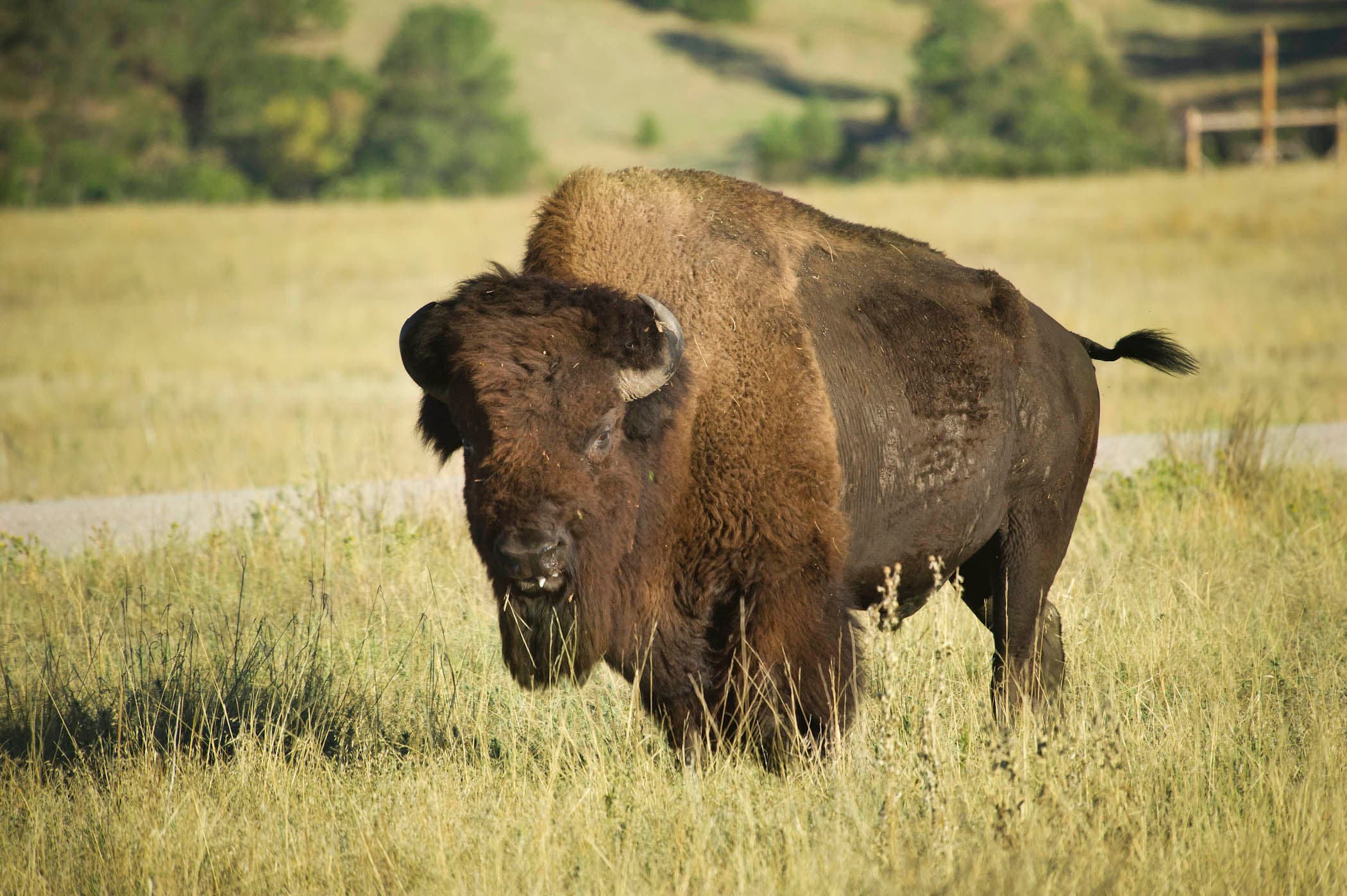 Fort Niobrara National Wildlife Refuge