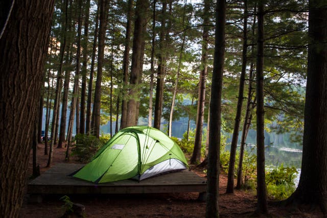 Can't Find a National Parks Campground? Here's Where to Camp Instead